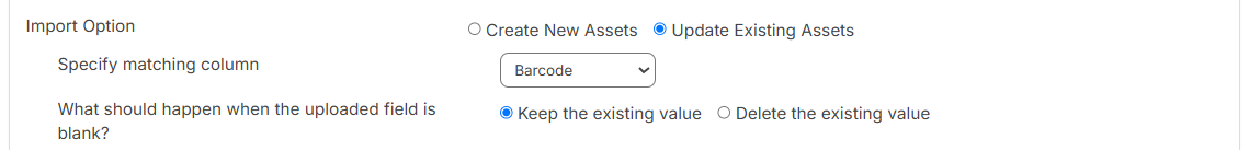 Import Asset page, showing the Update Existiing Assets import options. 